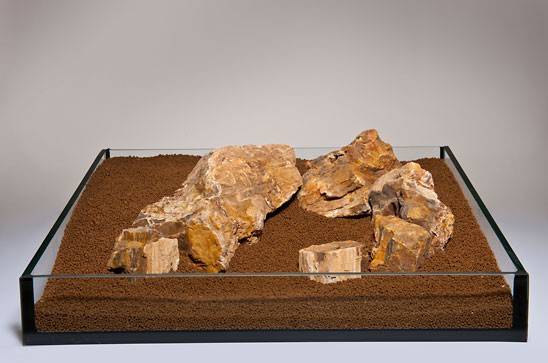 AQUADECO Fossilised Wood 1 kg