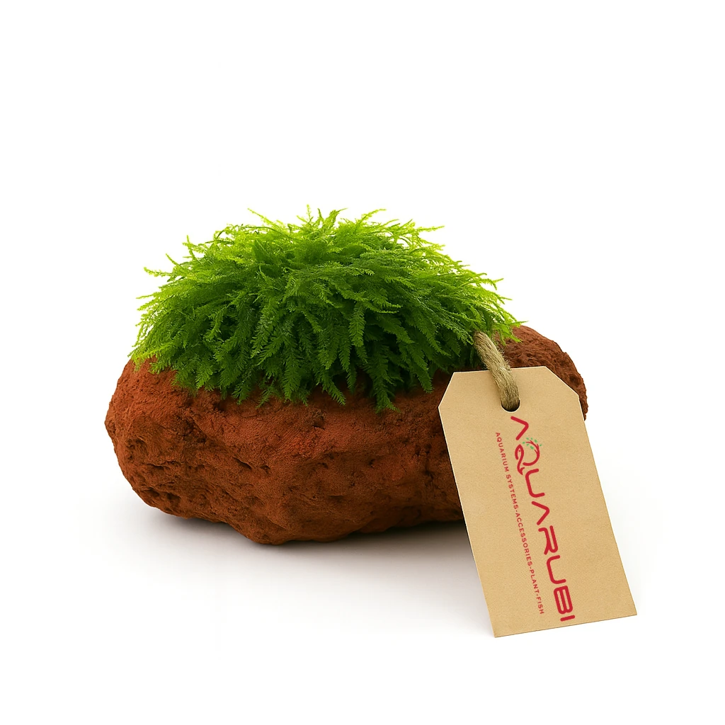 [Yeni] Pilo Moss on Lava Stone