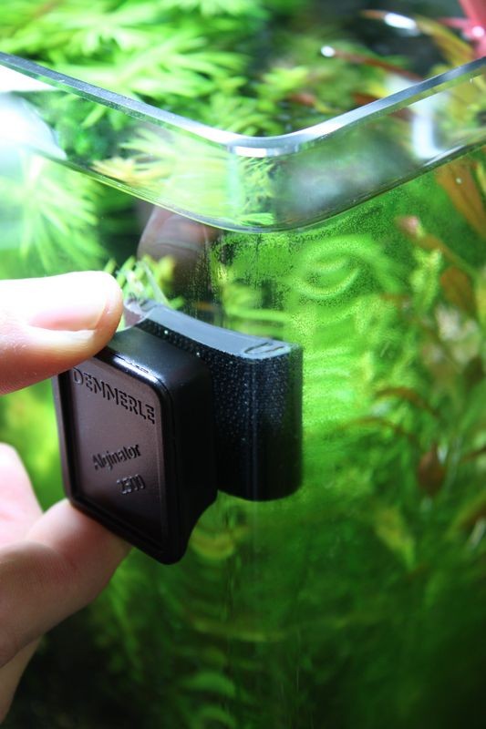 Dennerle Nano Alginator 2500 - high-power glass cleaner