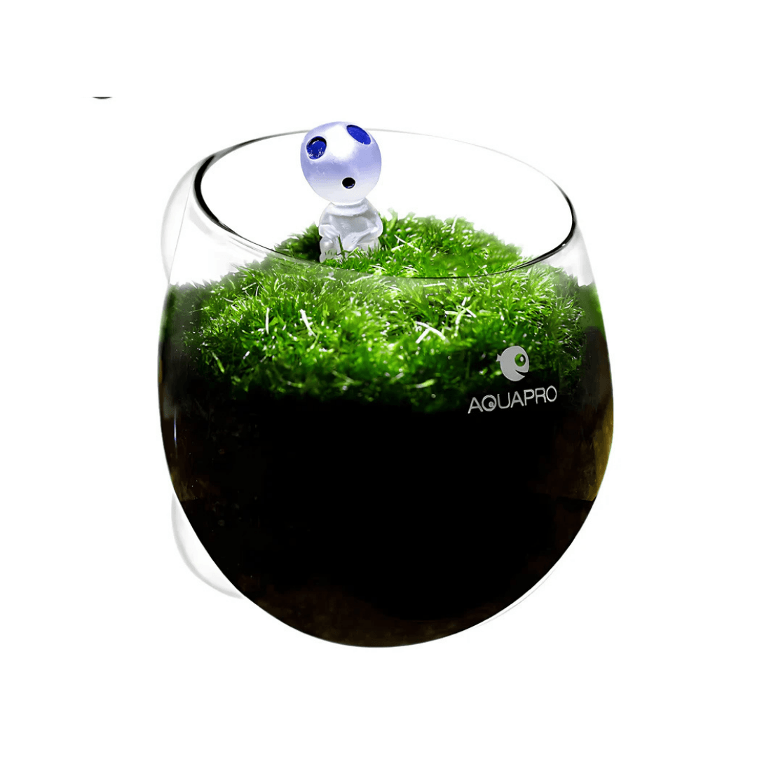AquaPro Glass Plant Pot