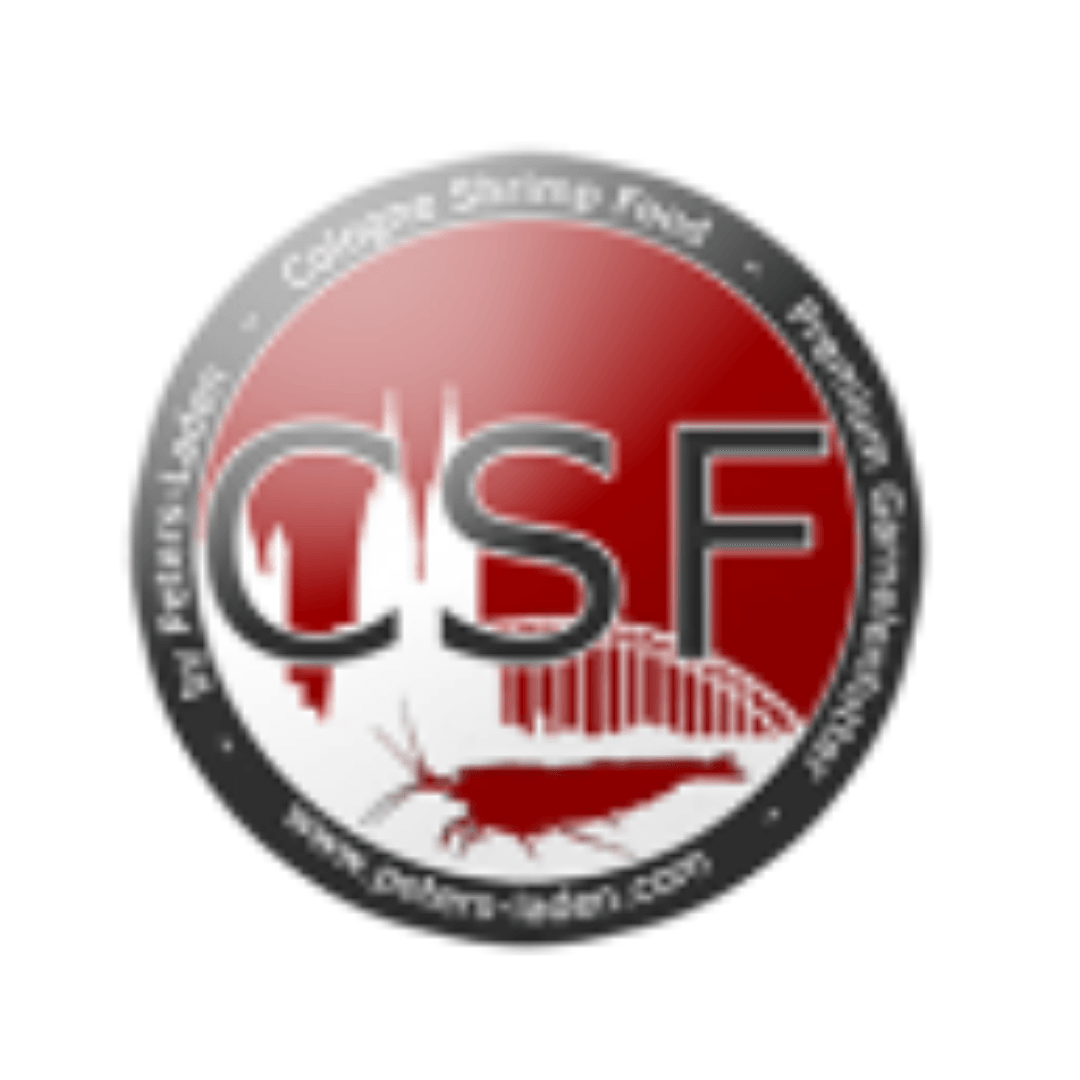 CSF Logo