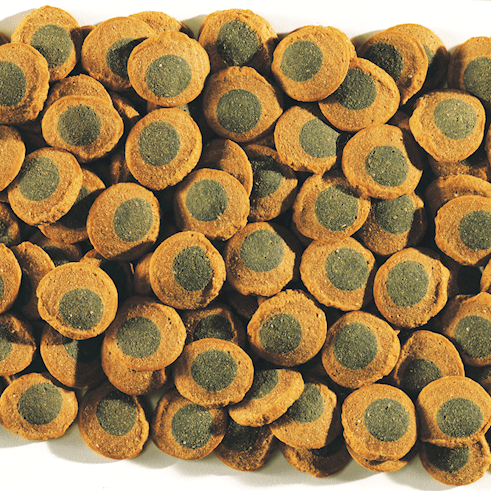 Tetra Pleco Spirulina Wafers 100g (açık)