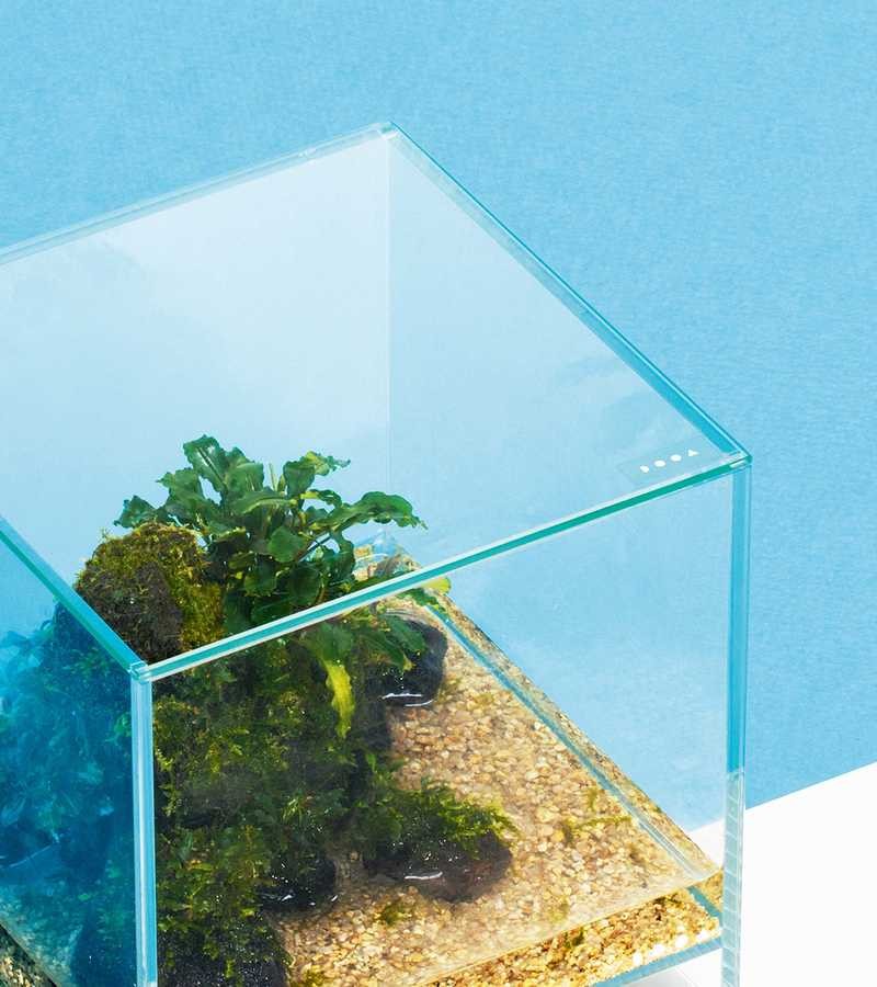 ADA Dooa Neo Glass Cover 20x20cm