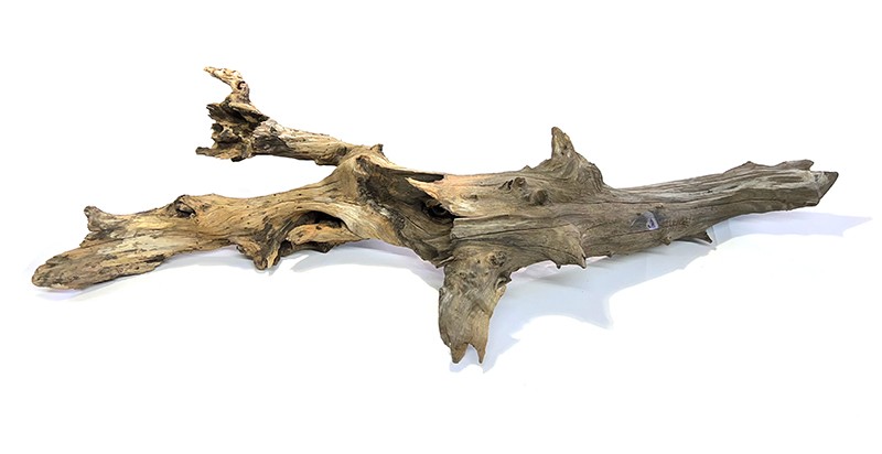 Drift Wood ML