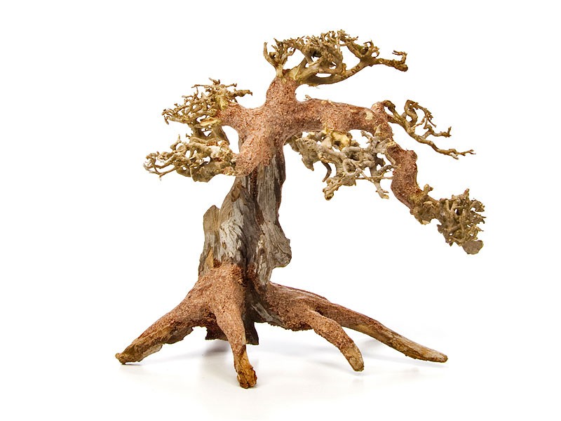 Bonsai Wood - S