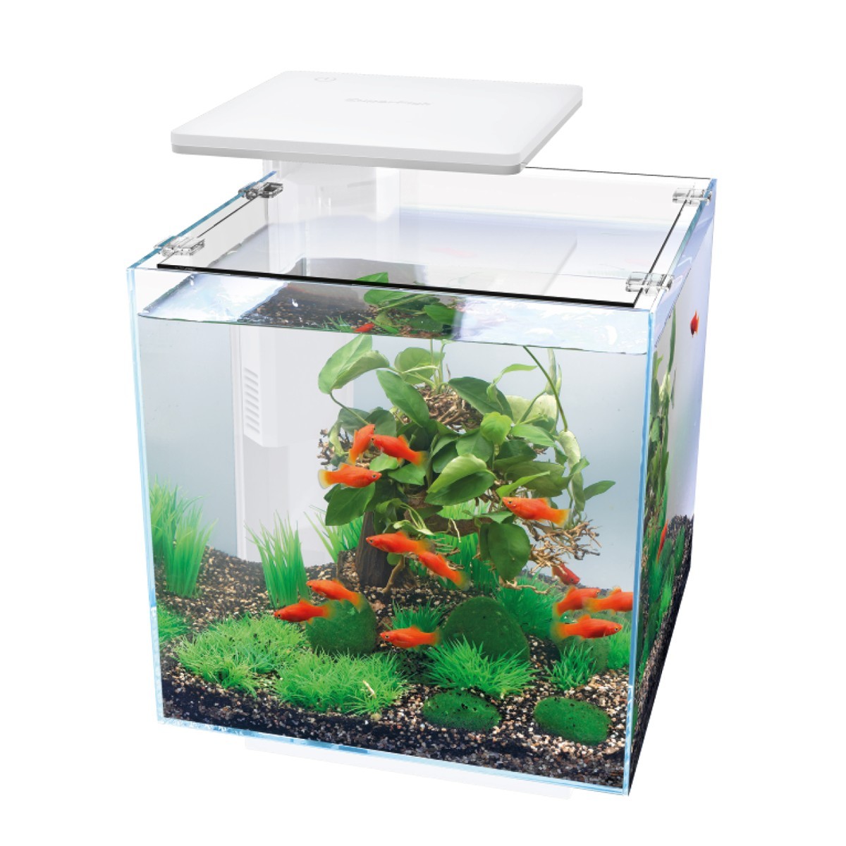 HAİLEA QB30 AKVARYUM BEYAZ