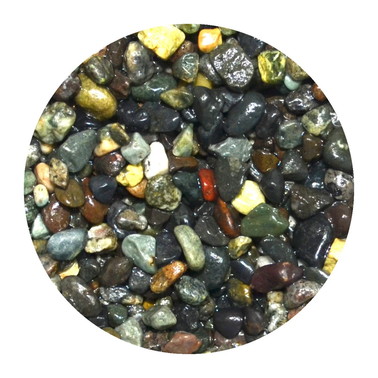 Jun Oiso Sand 5K - L