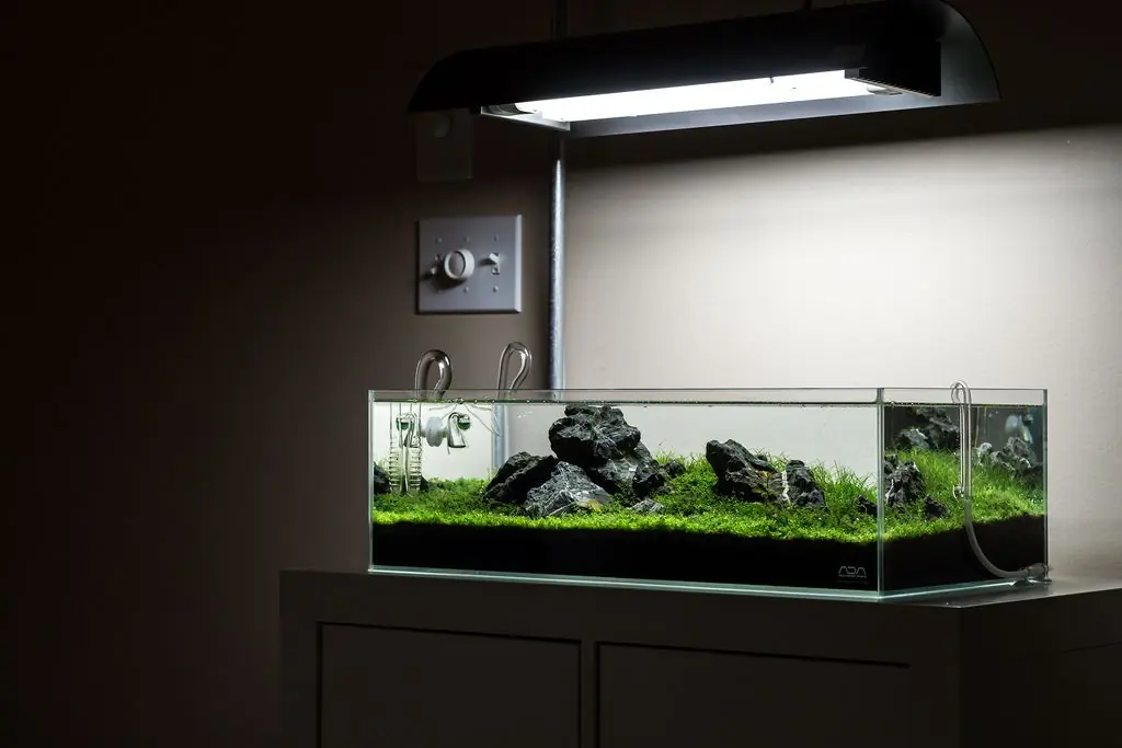 ADA Cube Garden 60FADA