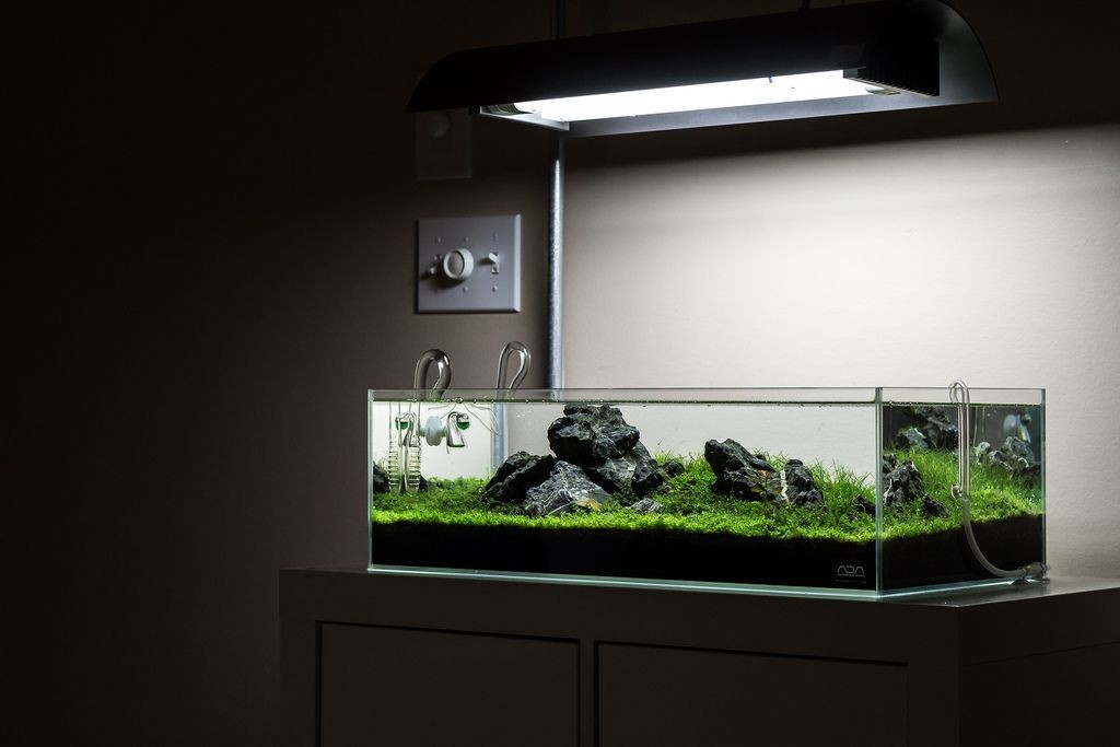 ADA Cube Garden 60F