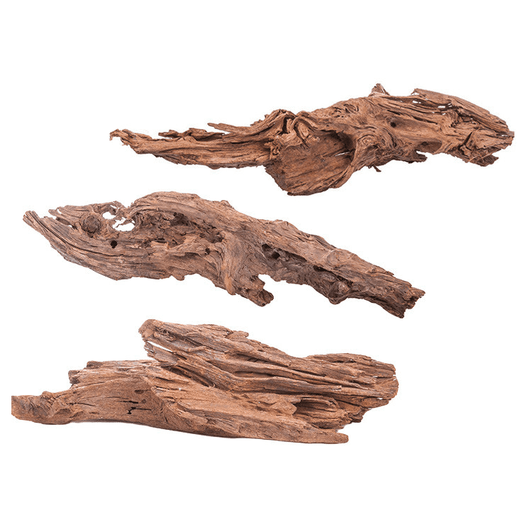 Drift Wood -S-