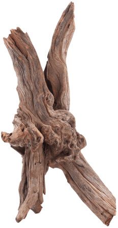 Drift Wood M
