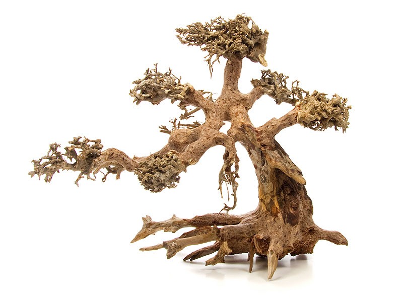 Bonsai Wood - S