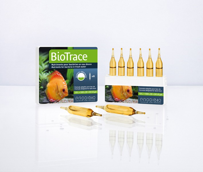 PRODİBİO - BİOTRACE 6 PC