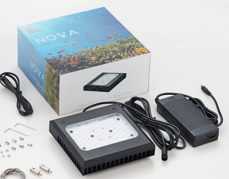 Chihiros Nova 1 Light Coral