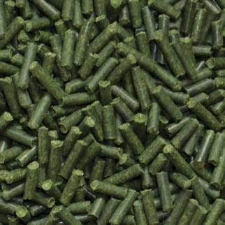 Dille Sticks (Dere Otu Çubukları-Almanya'dan İthal) 10 gr açık
