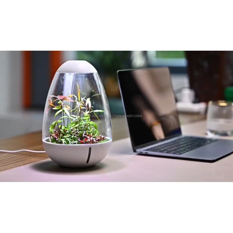 Chihiros Tiny Terrarium Egg