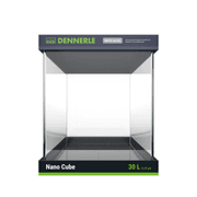 Dennerle