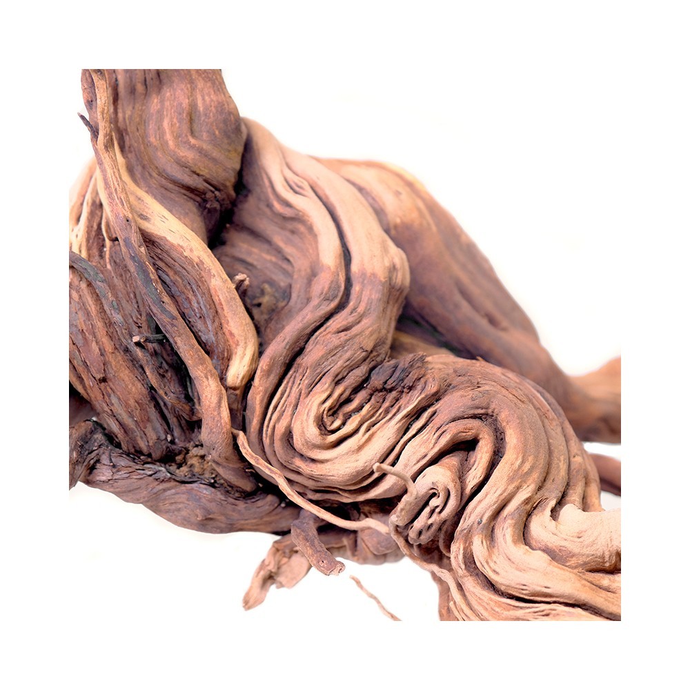 Arbour Wood