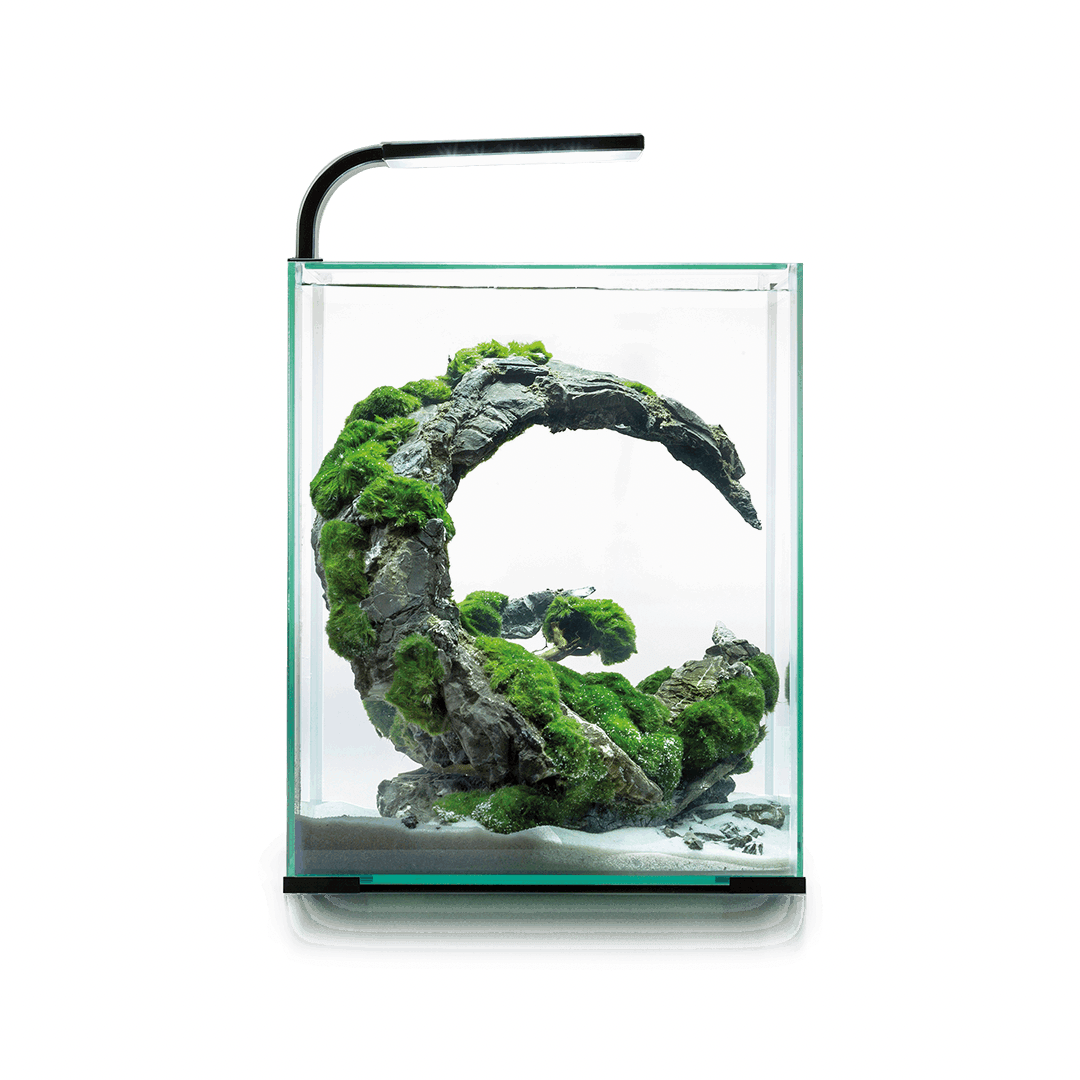 Aquael Shrimp Set 30 Karides Akvaryumu (black)