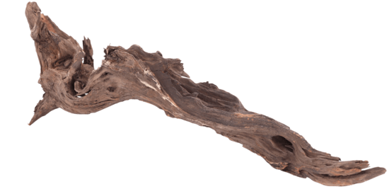 Drift Wood L