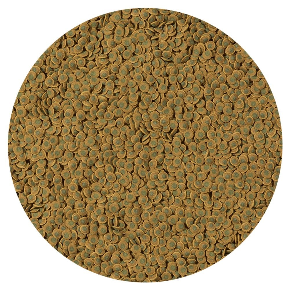 Tetra Pleco Veggie Wafers 100g (açık)