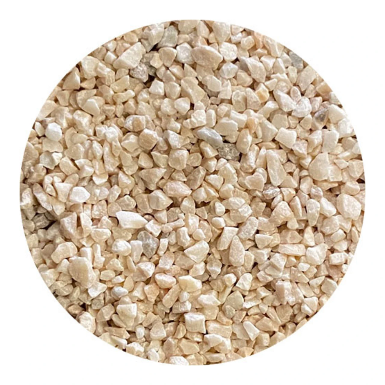 Jun Gokujyou Sango No3 - 5kg