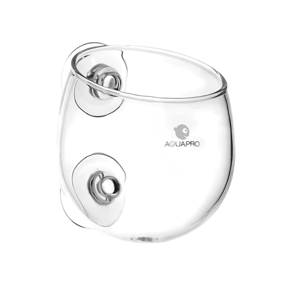 AquaPro Glass Plant Pot