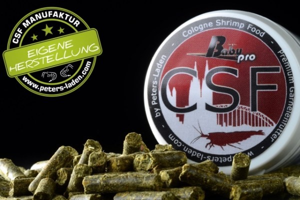 Csf Baby Pro Stick 25g (New***)