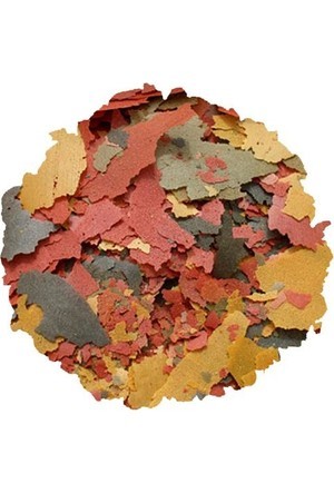 Tetra Tetramin Pul Balık Yemi 100gr (açık)