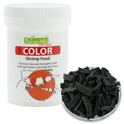BorneoWild Color 40g