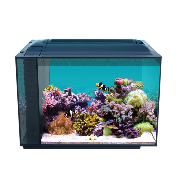 Anubias Evo-V8 55 Nano Marine Akvaryum Seti
