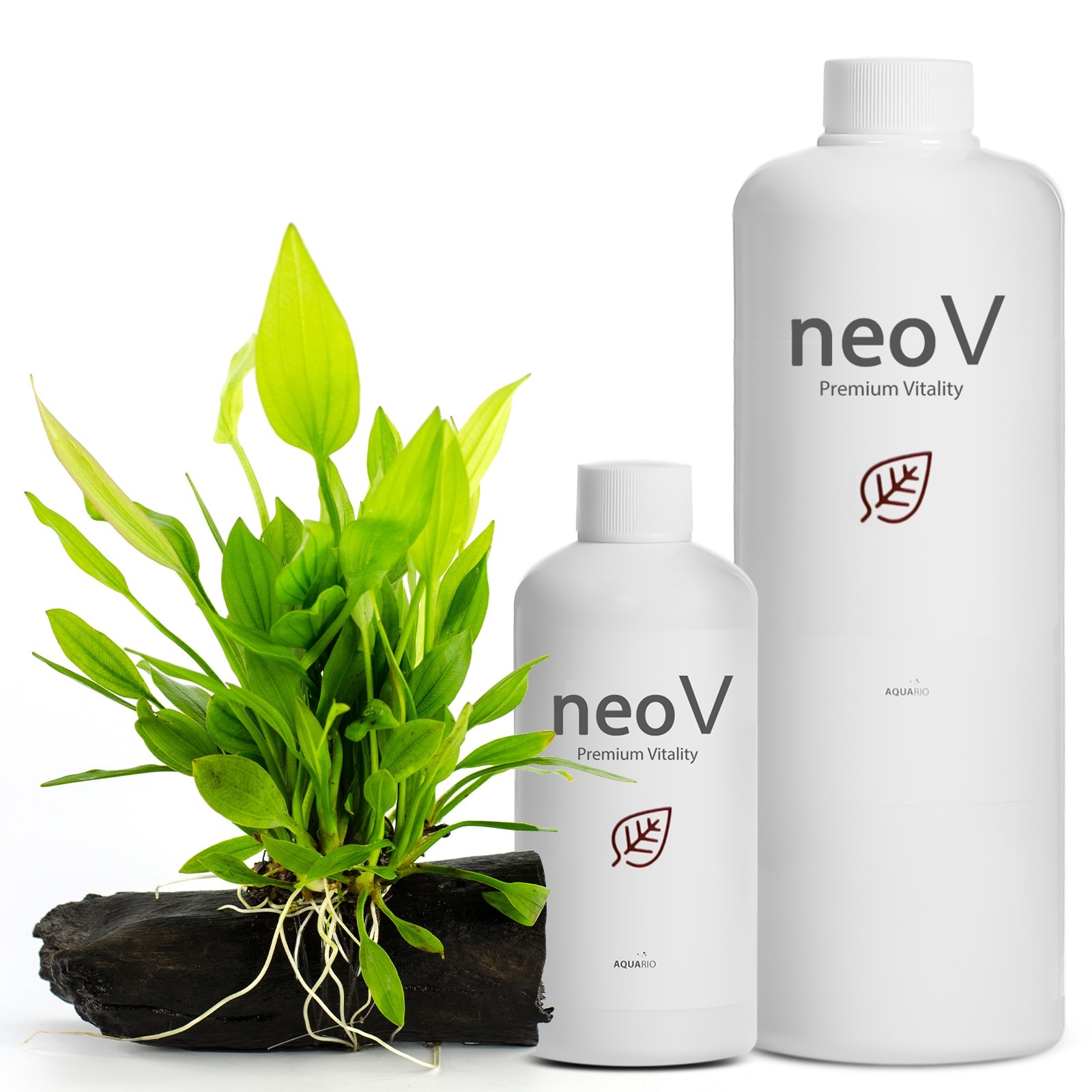Aquario Neo V 300ml