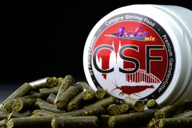 CSF Bee Fruit Mix 25gr