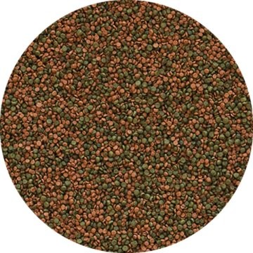 Tropical Cichlid Gran 100gr (açık)