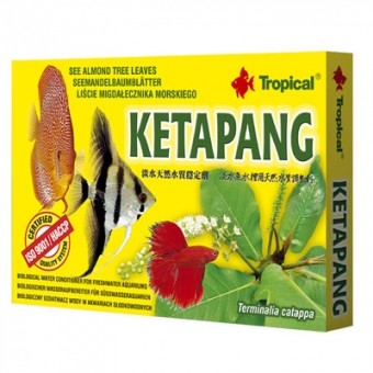 Tropical Ketapang (catappa bag) 6x