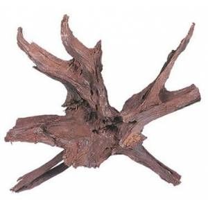 Mangrow Kökü -XL-