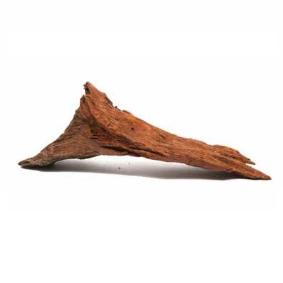 Mangrow Kökü -M-