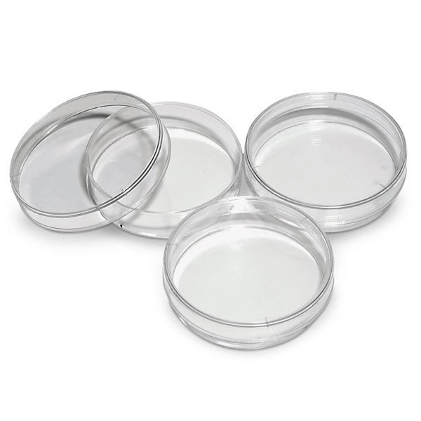 Karides Yemleme Kabı 10cm
