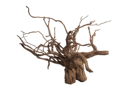 AQUADECO Red Moor Wood L (Kalın dal)
