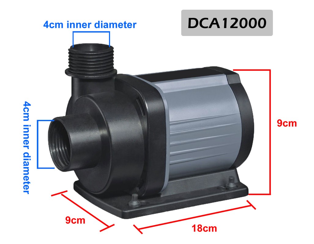 Coral Box - DCA 12000 Kafa Motoru