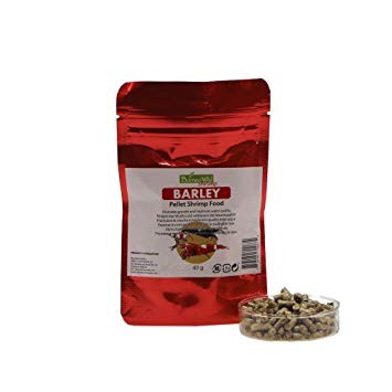 BorneoWild Barley 40gr