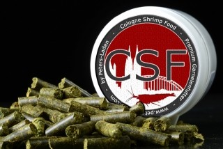 Csf Maulbeer+ 25g
