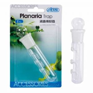 İsta Planaria Tuzağı