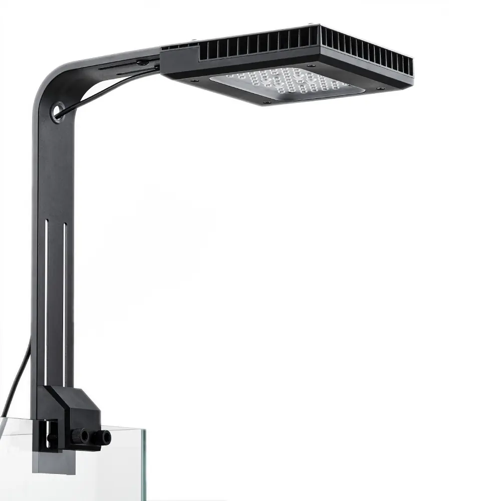 Chihiros Nova 1 Light Coral
