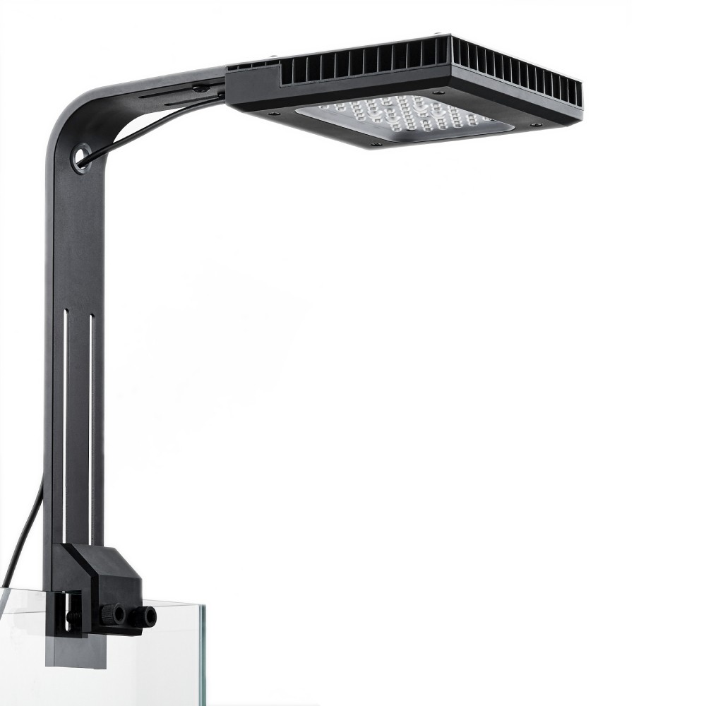 Chihiros Nova 1 Light Coral