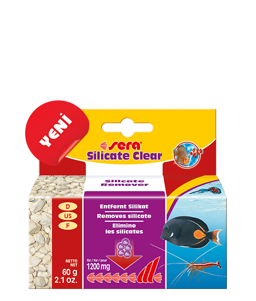 Sera Silicate Clear 60 gr