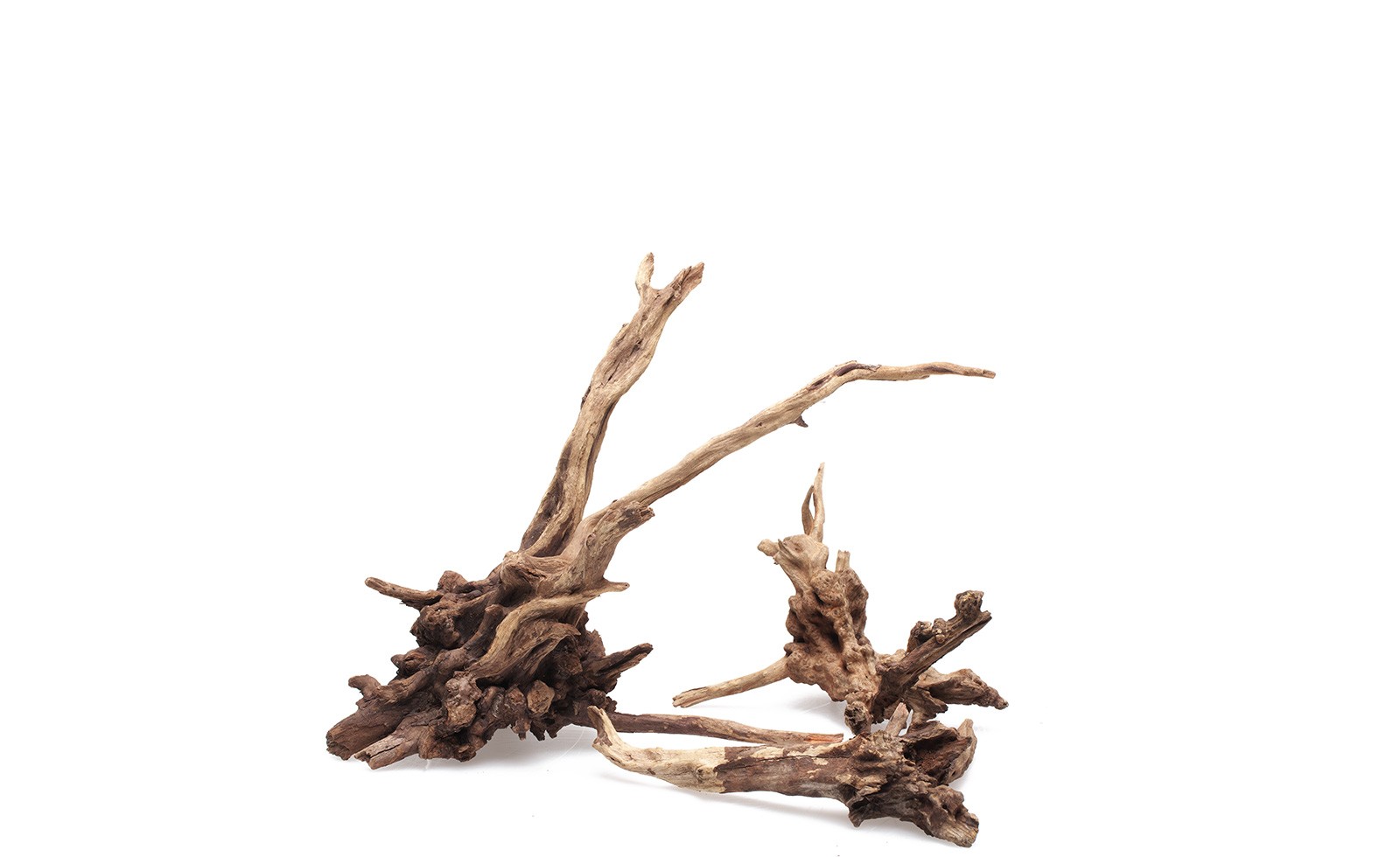 Ada Horn Wood -L-