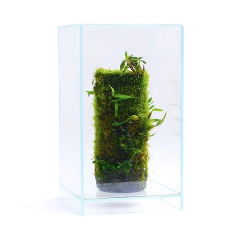 ADA Dooa Glass Air 20.20.35h