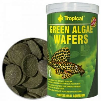 Tropical Green Algae Wafers 250ml/113g
