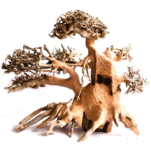 Bonsai Wood - M
